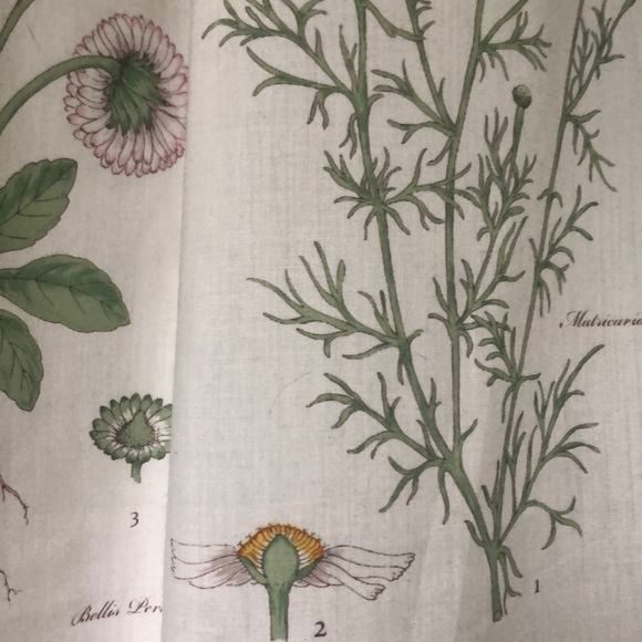 Always on the lookout for a good beanie 👀♥️ - Picture 1 of 1